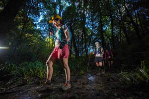 BIB: 252
                            <button type="button" onclick="openModal(19233671)" class="btn btn-primary btn-sm float-right btn-popup" data-toggle="modal" data-target=".modal-high-quality">
                        <i class="fas fa-shopping-cart"></i> Add to Cart
                    </button>
                                            <button type="button" onclick="isThisMe(19233671, true)" class="btn btn-success btn-sm float-right btn-popup btn-isme hidden" data-toggle="tooltip" data-placement="bottom" title="นี่คือรูปของคุณใช่ไหม คลิกที่นี่เพื่อเอาเข้าอัลบั้ม">
                        <i class="fas fa-plus"></i> Add to album
                    </button>
                    <button type="button" onclick="isThisMe(19233671, false)" class="btn btn-warning btn-sm float-right btn-popup btn-isnotme hidden">
                        <i class="fas fa-ban"></i> Remove from album
                    </button>